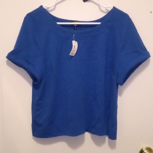 The Limited Tops - NWT - The Limited Blue Pull-Over Top - Size L